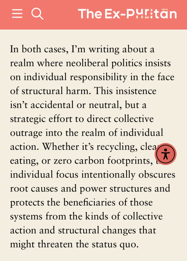 In both cases, I’m writing about a realm where neoliberal politics insists on individual responsibility in the face of structural harm. This insistence isn’t accidental or neutral, but a strategic effort to direct collective outrage into the realm of individual action. Whether it’s recycling, clean eating, or zero carbon footprints, this individual focus intentionally obscures root causes and power structures and protects the beneficiaries of those systems from the kinds of collective action and structural changes that might threaten the status quo.